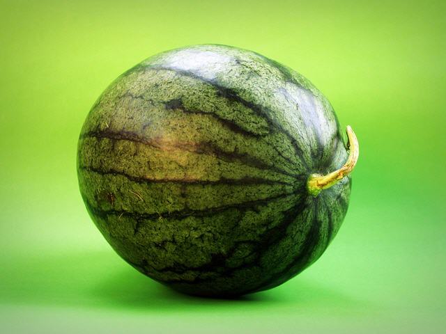 Grüne Zuckerwatte Melone